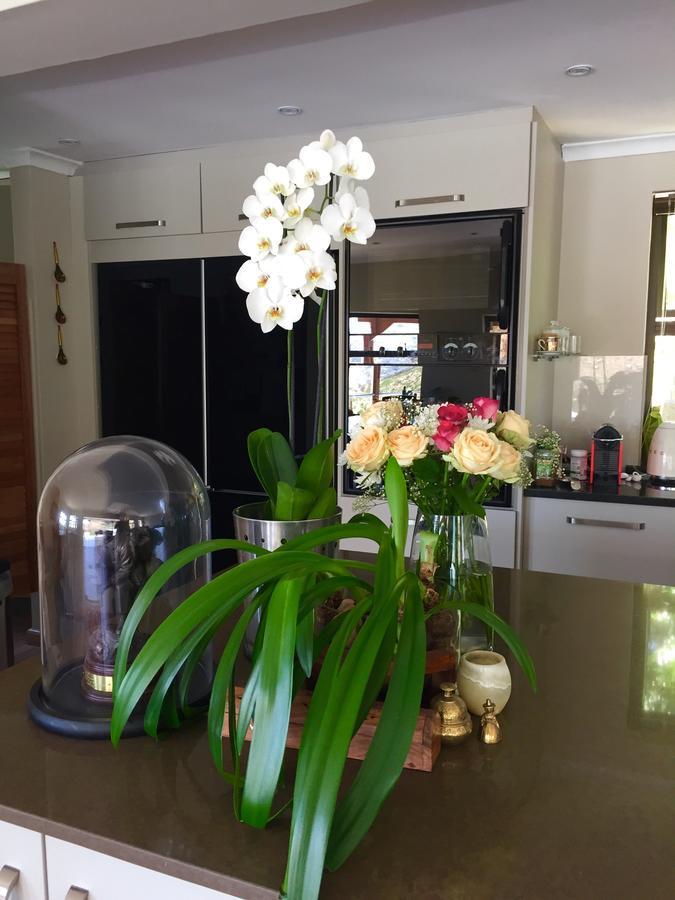 Protea Point Bed & Breakfast Cape Town Bagian luar foto