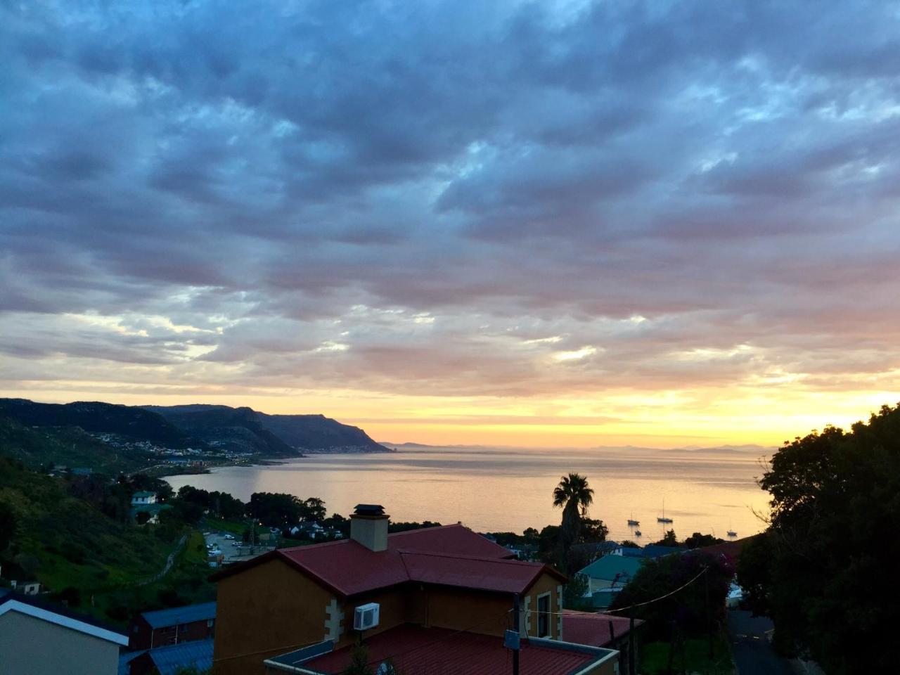 Protea Point Bed & Breakfast Cape Town Bagian luar foto